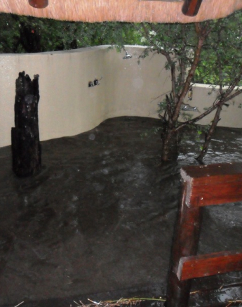 Room 1 Outside Shower