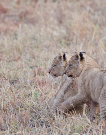 Week In Pictures 3 Week In Pictures 3