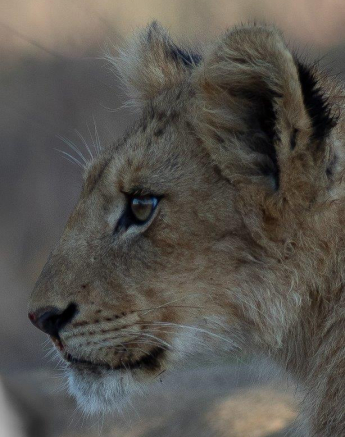 A25Tyron Van Der Walt Styx 260921 Portrait Final A25Tyron Van Der Walt Styx 260921 Portrait Final