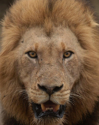 A14Tyron Van Der Walt Nwashishaka 031021 Portrait Final