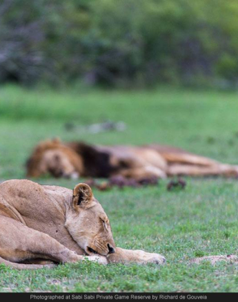 1465994 608425669205088 1130082684 O