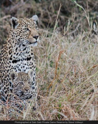 10450283 726778874036433 5842110316231014905 O