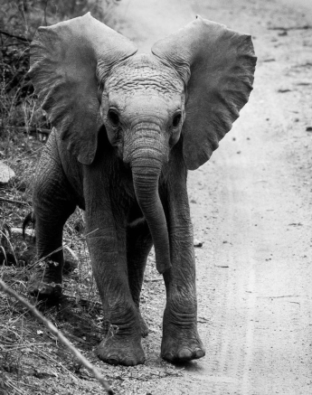 21Sheldon Hooper I Know Im Big 2 21Sheldon Hooper I Know Im Big 2