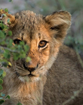 29Sheldon Hooper SP 20 05 17 Final 29Sheldon Hooper SP 20 05 17 Final