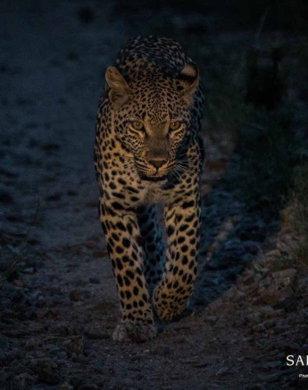 37Kevan Dobbie Ntsumi 250218 Final