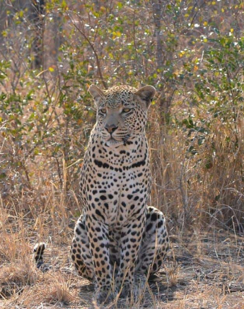 16Ronald Mutero Wite Dam 28072019 Final 16Ronald Mutero Wite Dam 28072019 Final