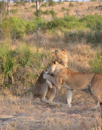 24Ronald Mutero SP 25072019 2 Final 24Ronald Mutero SP 25072019 2 Final