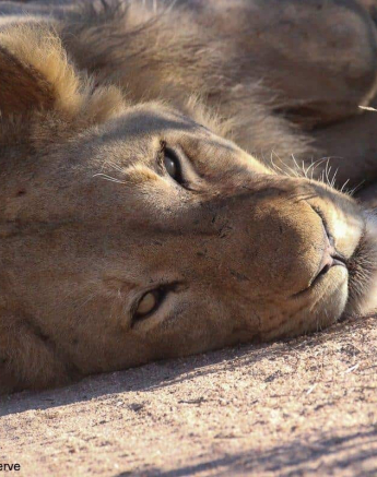 22Louise Murray Unkown 03062020 1 Final