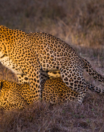 YPO 19.08 SABIBUSH JOHN.173