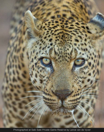 10497439 700741673306820 1305435074672484722 O