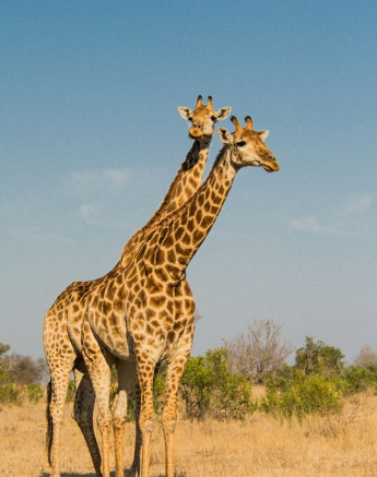 10406941 739466289434358 206191414179908861 N