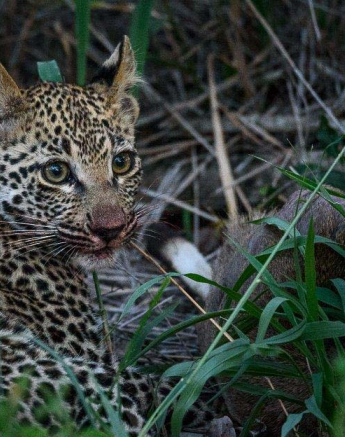 26Mike Palmer LBC 310316 1