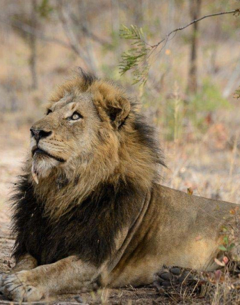 02Mike Palmer Mazino 310716 1 02Mike Palmer Mazino 310716 1