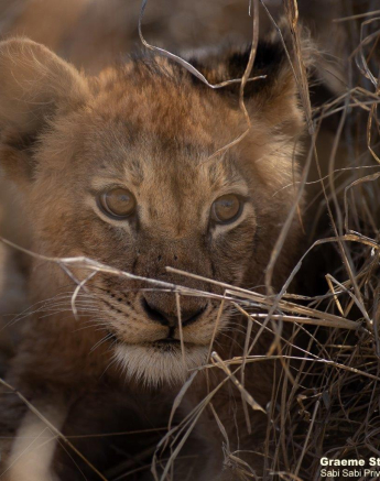 A11Graeme Stewart Styx Cub 090821 Final