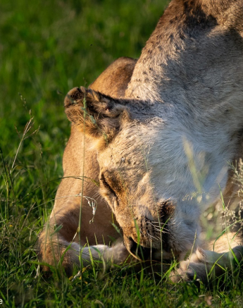 A10Ronald Mutero Stix And Nwash 12122021  3 Final 2 A10Ronald Mutero Stix And Nwash 12122021  3 Final 2