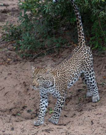 06Terry Ennever Hlarulini 11 3 16