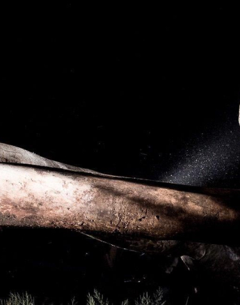 35Terry Ennever Max WD 15417 10 Final 35Terry Ennever Max WD 15417 10 Final