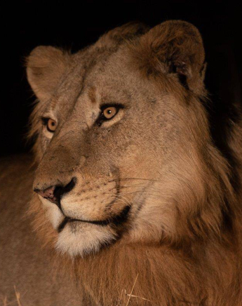 22Tyron Van Der Walt Talamati Male 30072019 1 Final 22Tyron Van Der Walt Talamati Male 30072019 1 Final