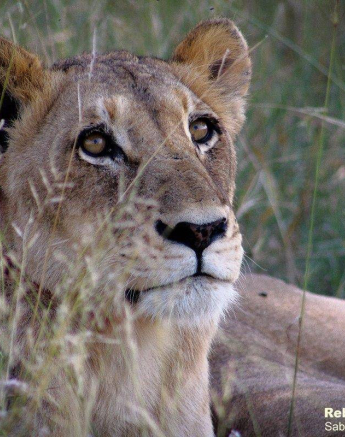 06Rebecca Boshoff SP 1 Final