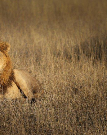 35Marco Vietti Nwasishaka 5 070920 Final 35Marco Vietti Nwasishaka 5 070920 Final