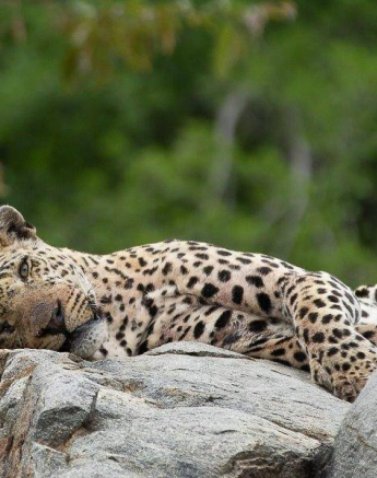 16Tyron Van Der Walt Xovo 301020 1 Final