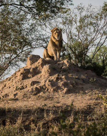 07Kevan Dobbie Avoca Males 240118.4 Final