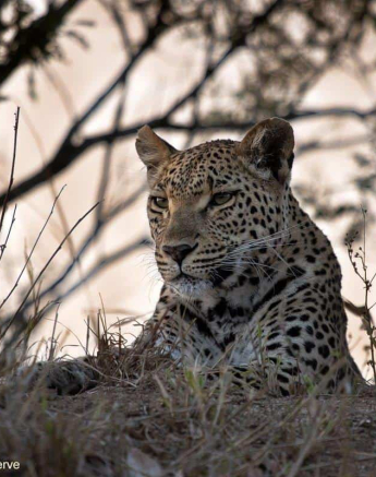 41Graeme Stewart Ntsumi 040920 1 Final 41Graeme Stewart Ntsumi 040920 1 Final