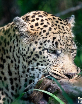 A28Ronald Mutero Dewane 12122021 2 Final A28Ronald Mutero Dewane 12122021 2 Final