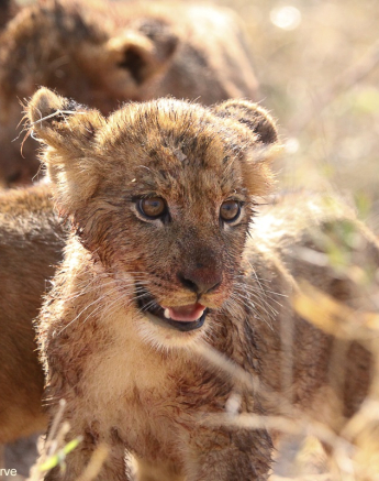 B05Erin Herbst Styx 4 211021 FINAL 5