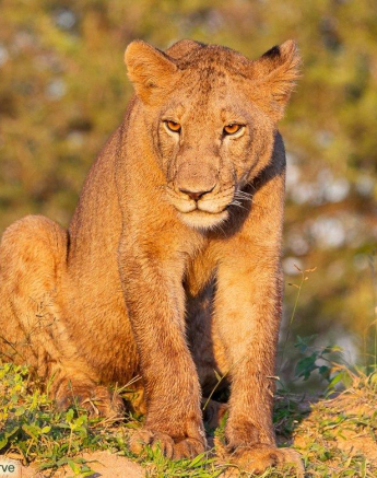 A36ronald Mutero Styx 02062022 Final