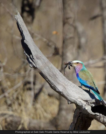 10714477 738653409515646 1380434328845856967 O