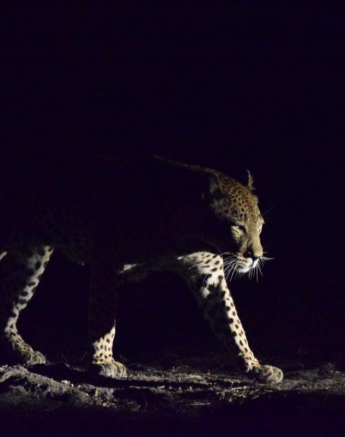 12Maryke Nel Max 24072019 7 Final 12Maryke Nel Max 24072019 7 Final