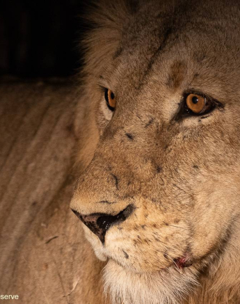 30Graeme Stewart Nwas Male 260820 2 Final