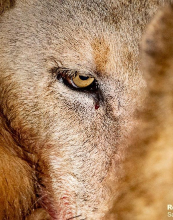 B26ronald Mutero Nwash 01082021 3 Final