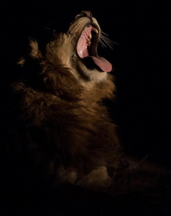 15Kevan Dobbie Tsalala 1609.3 Final