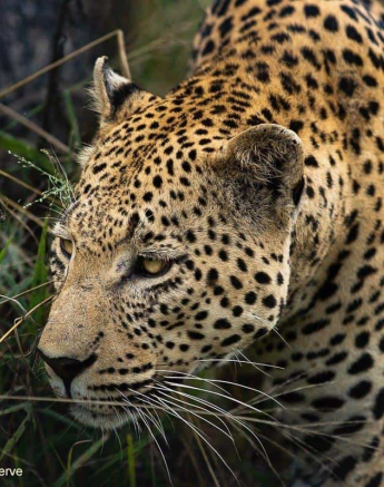 09Tyron Van Der Walt White Dam 170420  Final