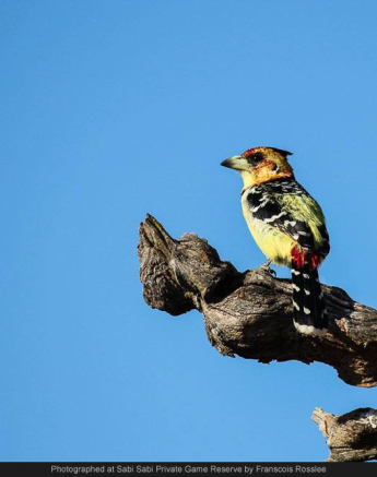 10317685 697942423586745 6253035711570923342 O