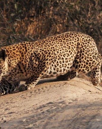 08Stefan Schoeman Max 30072019 4 Final 08Stefan Schoeman Max 30072019 4 Final