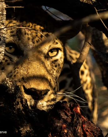 10Kevin Van Der Linde Maxabeni 18102019 Final