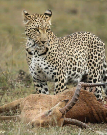 35Ally Ross 20201011 Ntsumi 01  Final 35Ally Ross 20201011 Ntsumi 01  Final