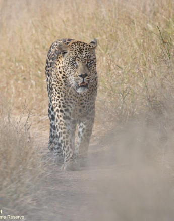 18Graeme Stewart Nweti 090521 Final