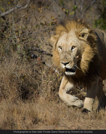 1008712 699261143454873 5347096961507156994 O