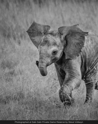 10694410 741335379247449 4257171936501194368 O