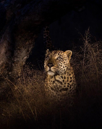 01Franscois Rosslee Xcovanekela Final