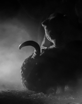 02Kyle 5 July Lion Bamba 8 Final