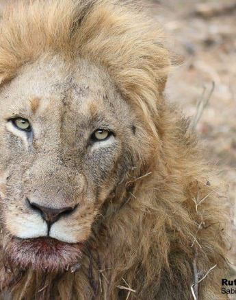 25Ruth Berning Othawa 04112019 2 Final 25Ruth Berning Othawa 04112019 2 Final