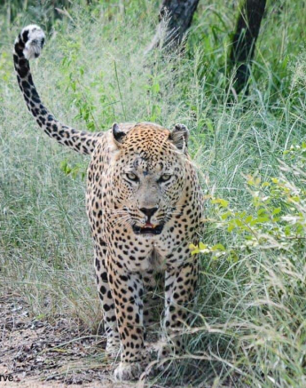 13Ronald Mutero Max 03022020 8 Final 13Ronald Mutero Max 03022020 8 Final