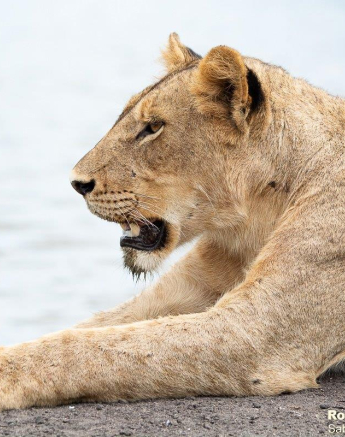 A39ronald Mutero Styx 29112022 5 Final