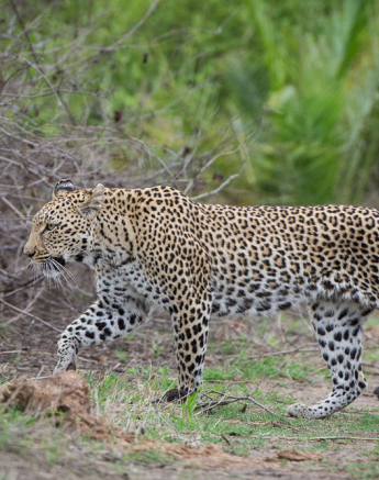 Mike Palmer LBC Maxabeni 1