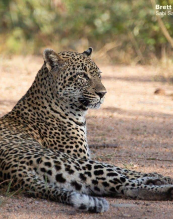 08Brett Heasman Scotia 28032020 2 Final 08Brett Heasman Scotia 28032020 2 Final